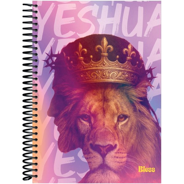 CADERNO UNIVERSITÁRIO BLESS CD - 160 FOLHAS