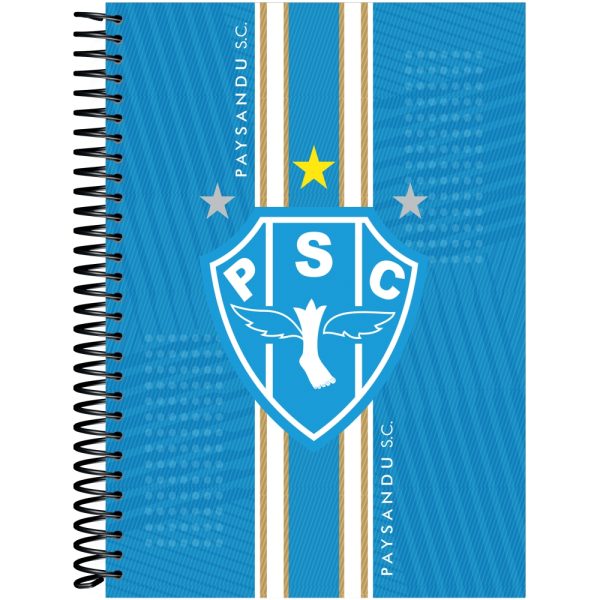CADERNO ESPIRAL PAYSANDU 1/4 CD – 80 FOLHAS