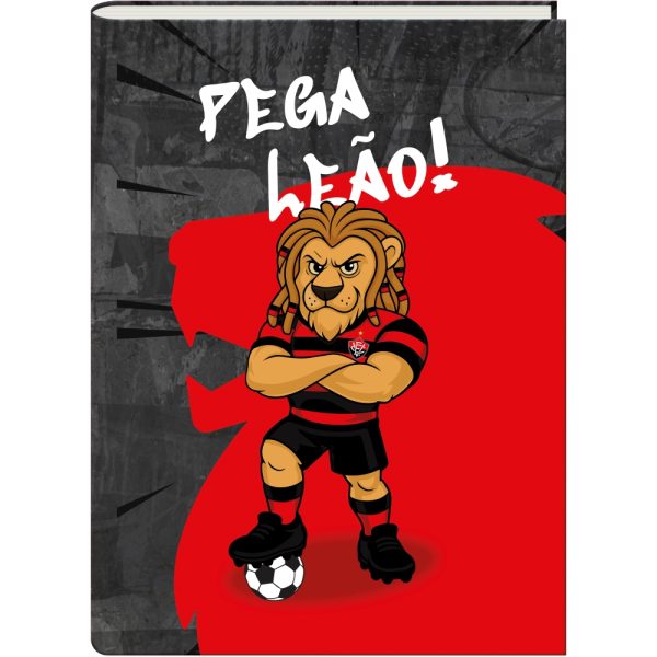 CADERNO BROCHURA ECVITORIA UNIV. CAPA DURA – 80 FOLHAS