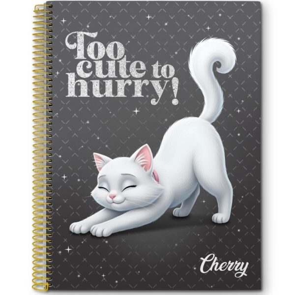 CADERNO ESPIRAL CAPA DURA UNIVERSITÁRIO 10 MATÉRIAS CHERRY - 160 FOLHAS