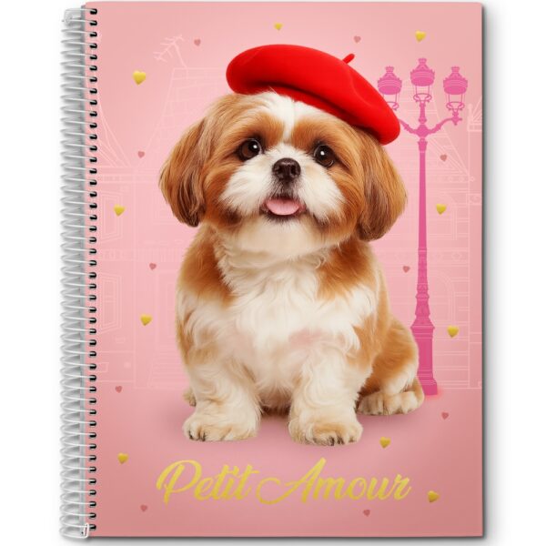 CADERNO ESPIRAL UNIV MIX CD 1X1 - 80 FOLHAS