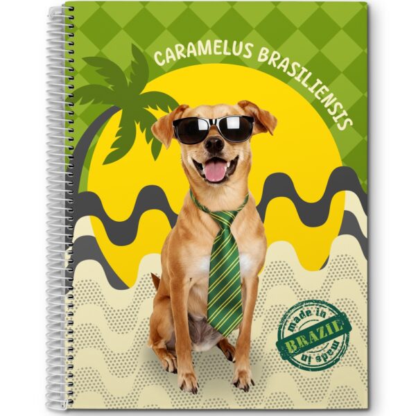 CADERNO ESPIRAL UNIV. CD 10X1 MIX - 160 FOLHAS